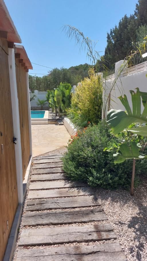 Un camino de madera pasa por un cobertizo y un jardín hasta una piscina en un día soleado.