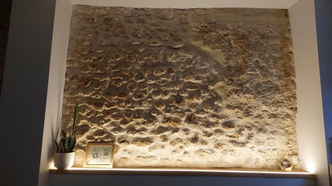 Pared de piedra empotrada con estante, iluminada con luces. Una planta y un marco de fotos descansan sobre el estante.