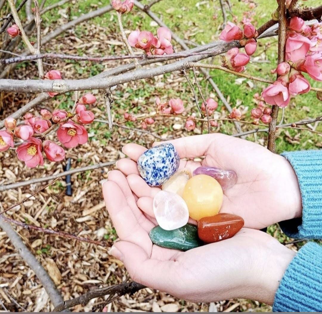 Una persona con uñas azules sostiene una rosa rosa.