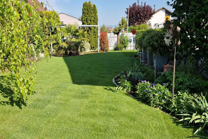 Rollrasen verlegt durch die Firma Simart Gartenbau GmbH
