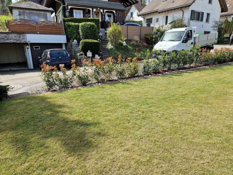 gepflegter Rasen durch Simart Gartenbau GmbH
