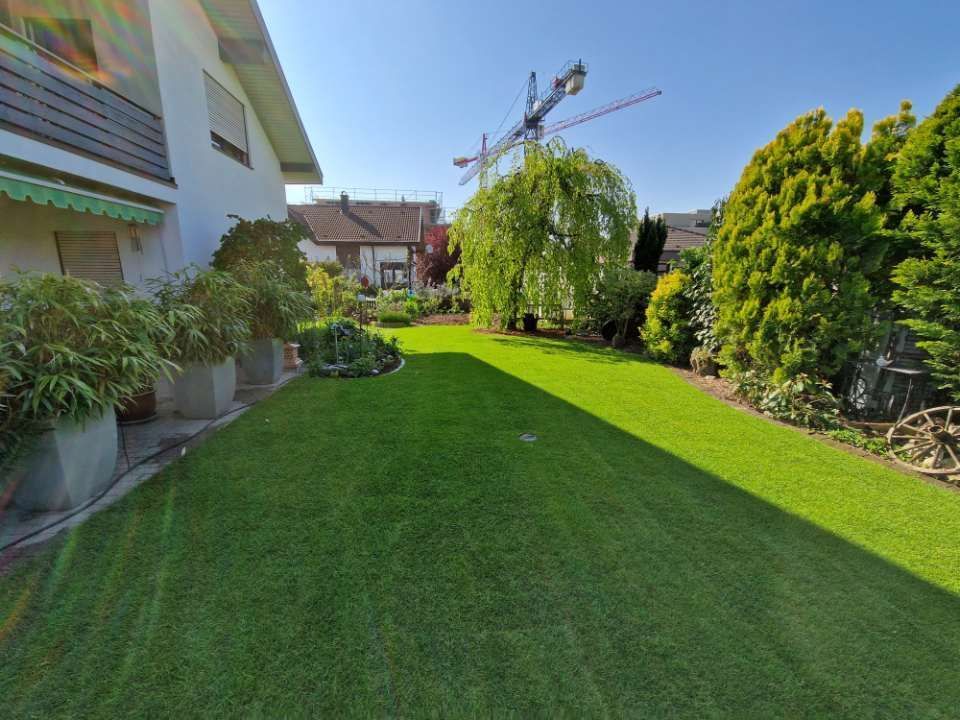 gepflegter Rasen durch Simart Gartenbau GmbH