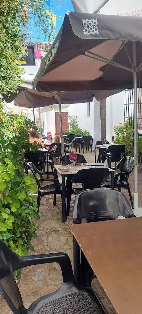 Cafetería al aire libre con mesas, sillas y sombrillas. El patio está rodeado de vegetación.