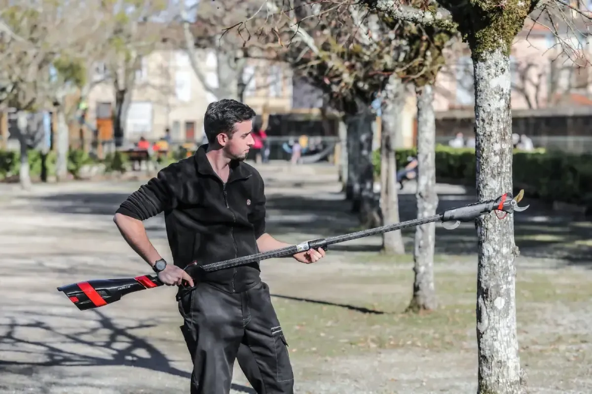 Persona sosteniendo una herramienta de poda de mango largo junto a un árbol en un parque.