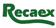 Logotipo verde de “Recaex” con texto estilizado y un subrayado curvo sobre un fondo blanco.