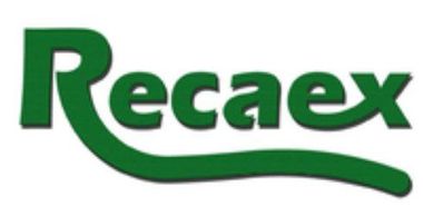Logotipo verde de “Recaex” con texto estilizado y un subrayado curvo sobre un fondo blanco.