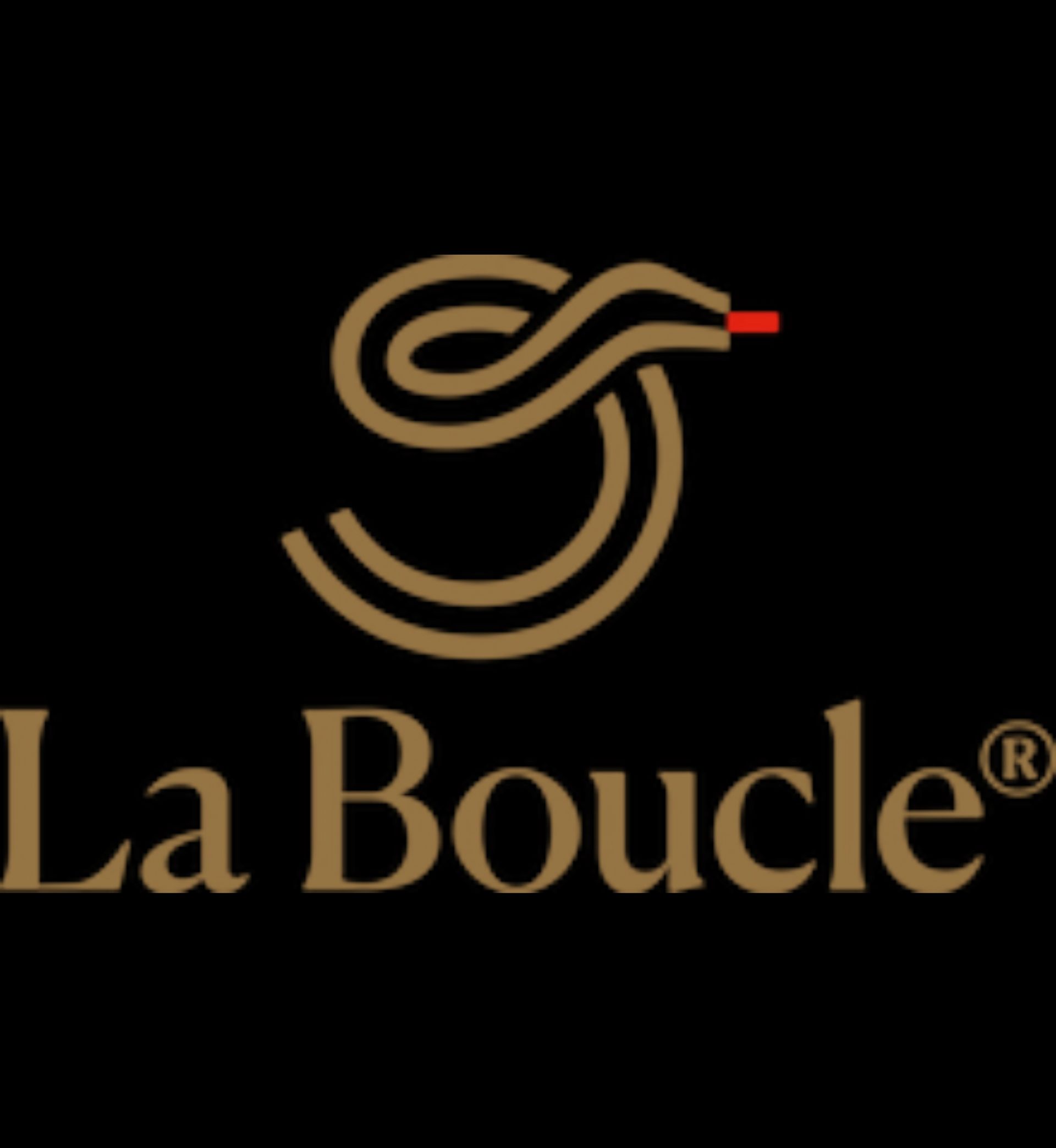 Logo La Boucle