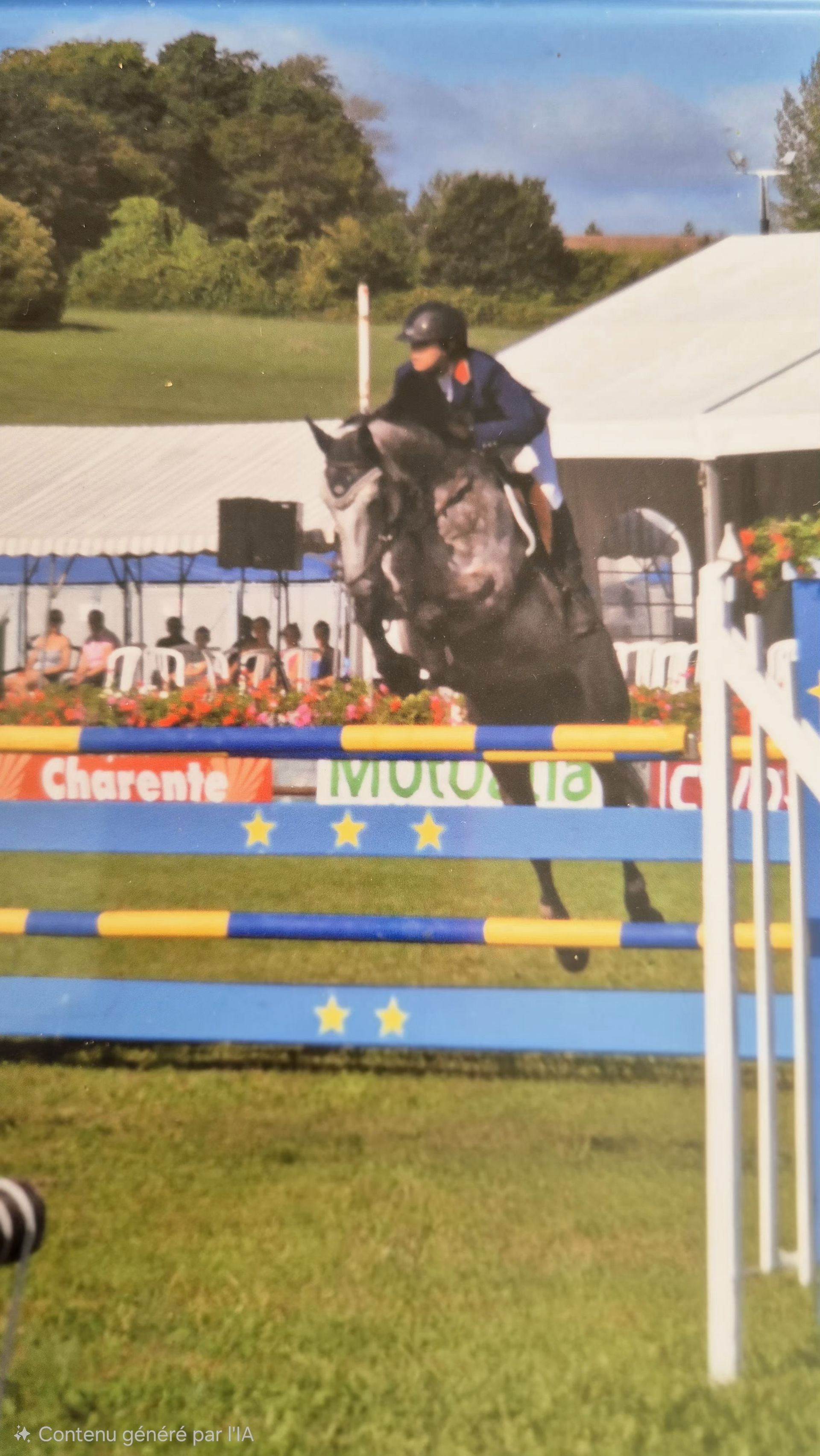 Avocat en droit équin contentieux