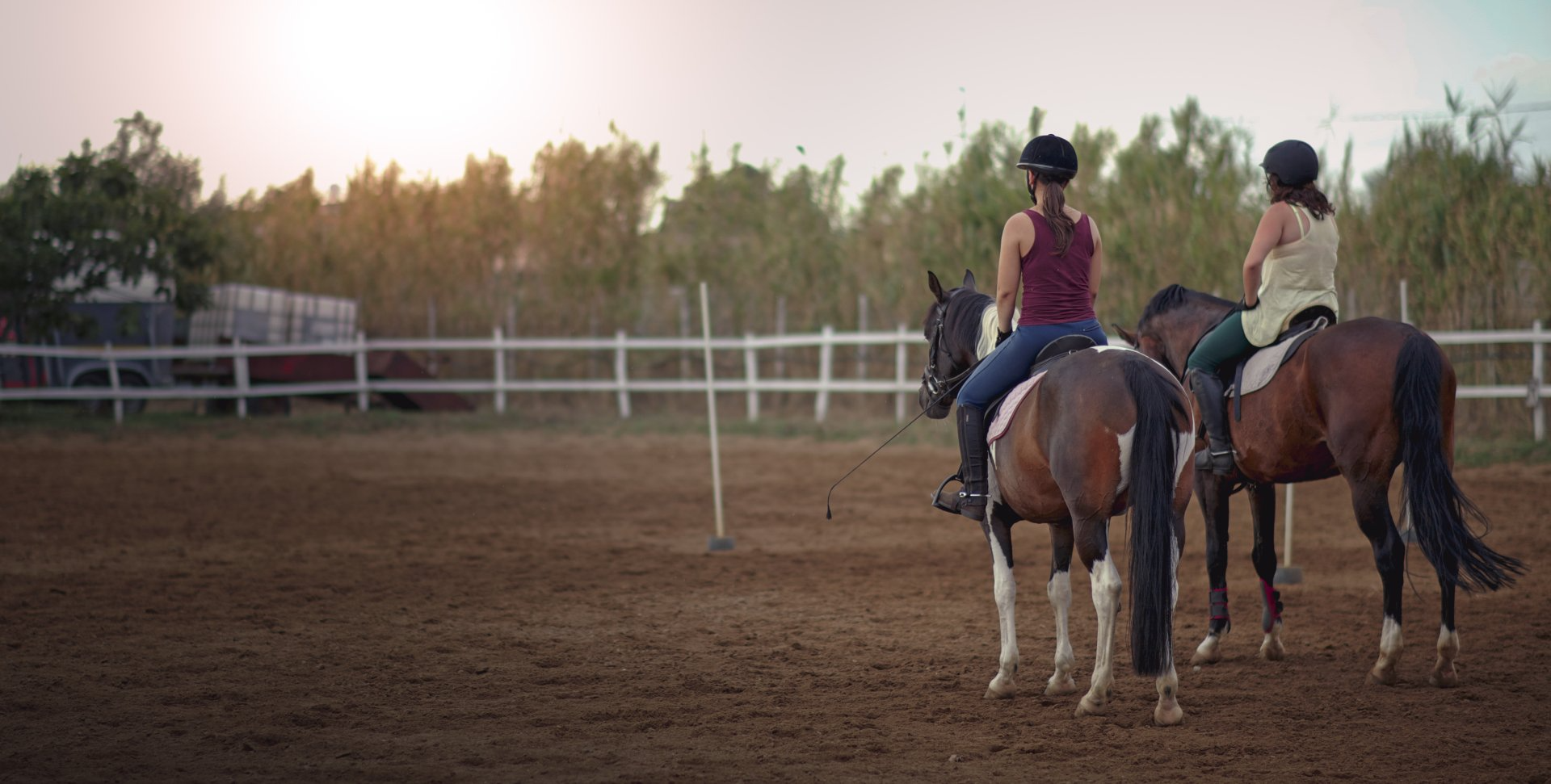 Avocat - Droit équin