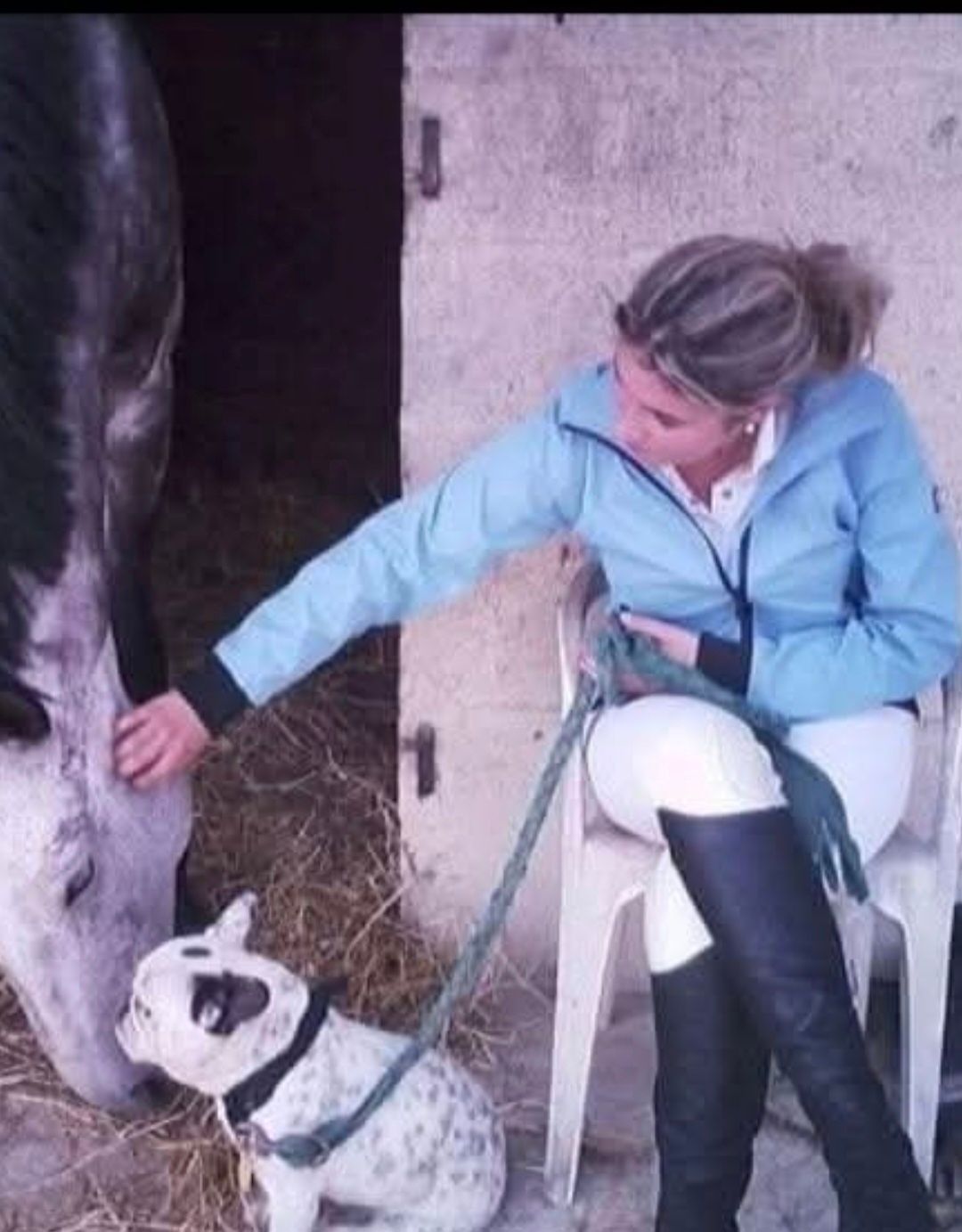 Avocat en droit équin conseils juridiques