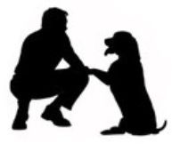 Silhouette einer hockenden Person und eines sitzenden Hundes, die sich mit ausgestreckter Pfote entgegenstrecken.