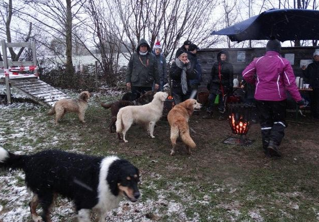 Menschen und Hunde versammelten sich um ein Feuer in einem verschneiten Hof; im Vordergrund war ein schwarzer Hund zu sehen.