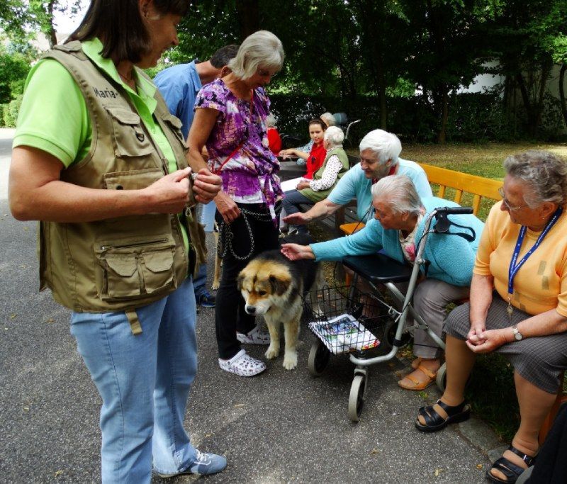 Im Freien versammelte Menschen streichelten einen kleinen Hund auf einem Rollwagen; in der Nähe war eine Blindenhundweste zu sehen.