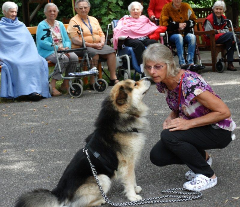 Eine Frau hockt sich hin, um inmitten sitzender Menschen bei einer Versammlung im Freien einen großen Hund zu küssen.