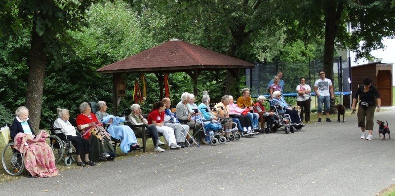 Bei einer Freiluftveranstaltung sitzen Menschen unter einem Pavillon, einige wenige stehen in der Nähe auf einem gepflasterten Weg.