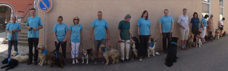 Menschen mit Blindenhunden in blauen Hemden standen draußen an einer Backsteinmauer entlang.