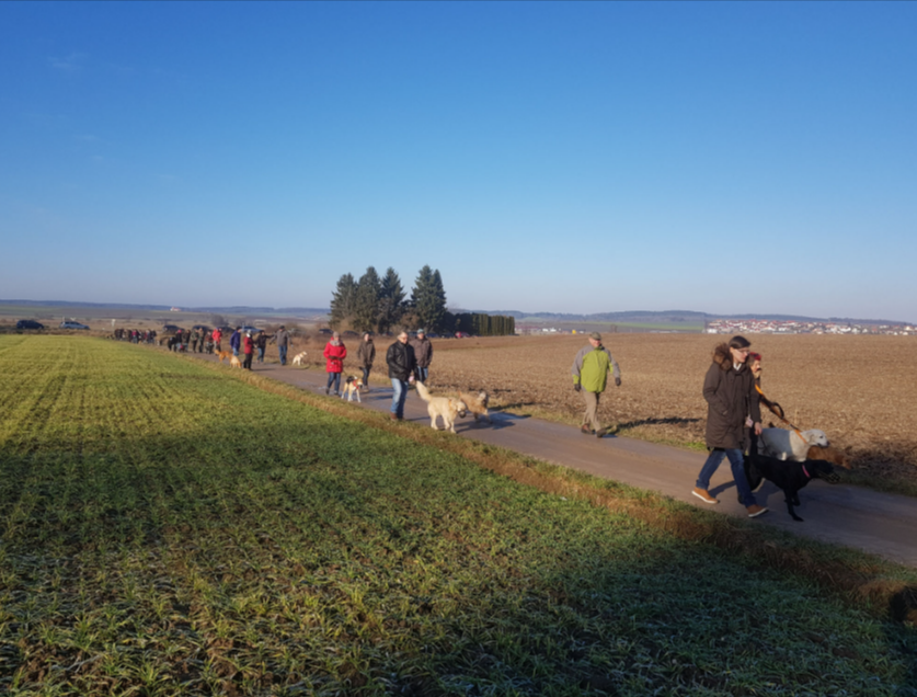 Menschen spazieren mit ihren Hunden auf einem ländlichen Weg neben Feldern unter einem klaren blauen Himmel