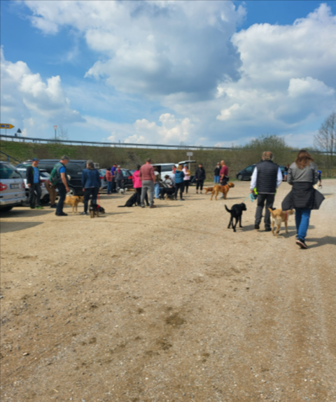 Menschen und Hunde versammelten sich auf einem Kiesweg in einem Park unter einem bewölkten blauen Himmel