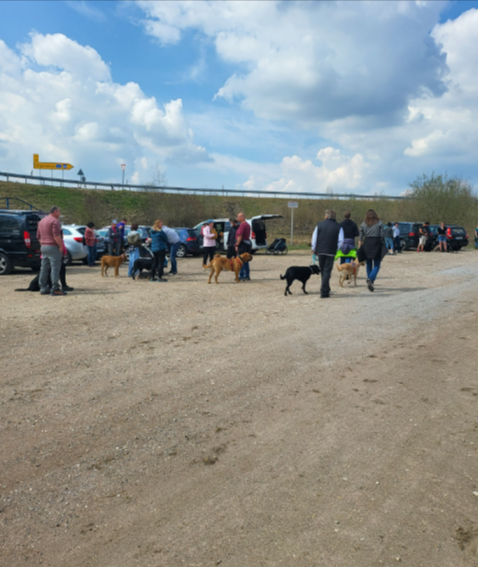 Menschen versammelten sich mit ihren Hunden auf einem Feldweg nahe einem Feld unter bewölktem Himmel.