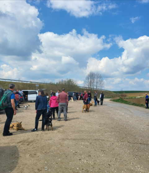 Menschen, die mit ihren Hunden auf einem Schotterweg unter einem bewölkten blauen Himmel spazieren gehen.