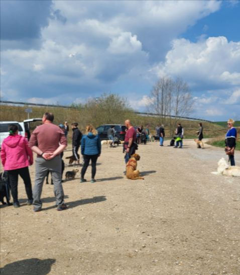 Menschen hatten sich im Freien auf einem Kiesweg unter blauem Himmel versammelt, ein Hund saß in der Nähe der Mitte.