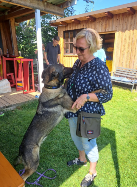 Ein großer Hund steht auf den Hinterbeinen, um eine Frau auf einer sonnigen Holzterrasse vor einer Hütte zu begrüßen.