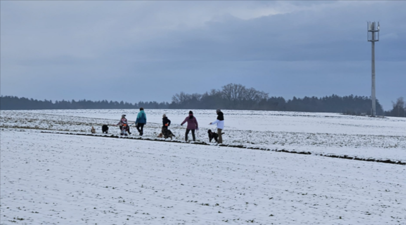 Menschen, die mit ihren Hunden über ein schneebedecktes Feld unter grauem Himmel spazieren gehen
