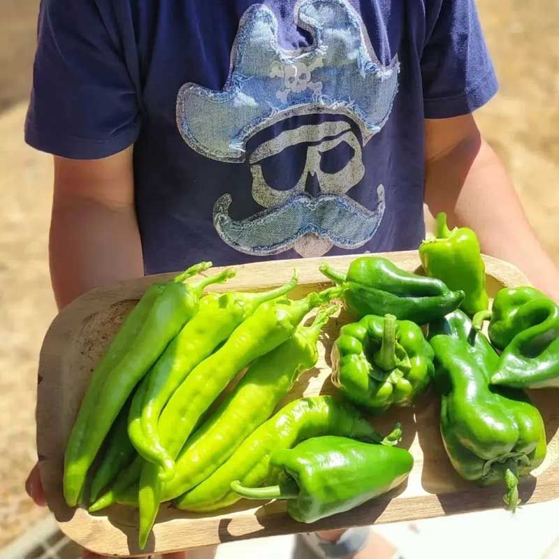 ΧΑΡΤΑΕΤΟΣ kids