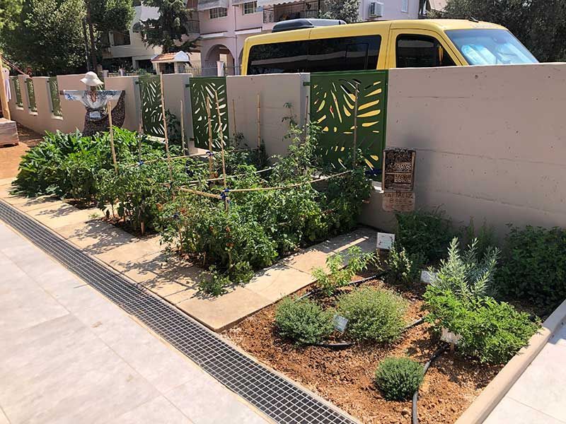 ΧΑΡΤΑΕΤΟΣ kids