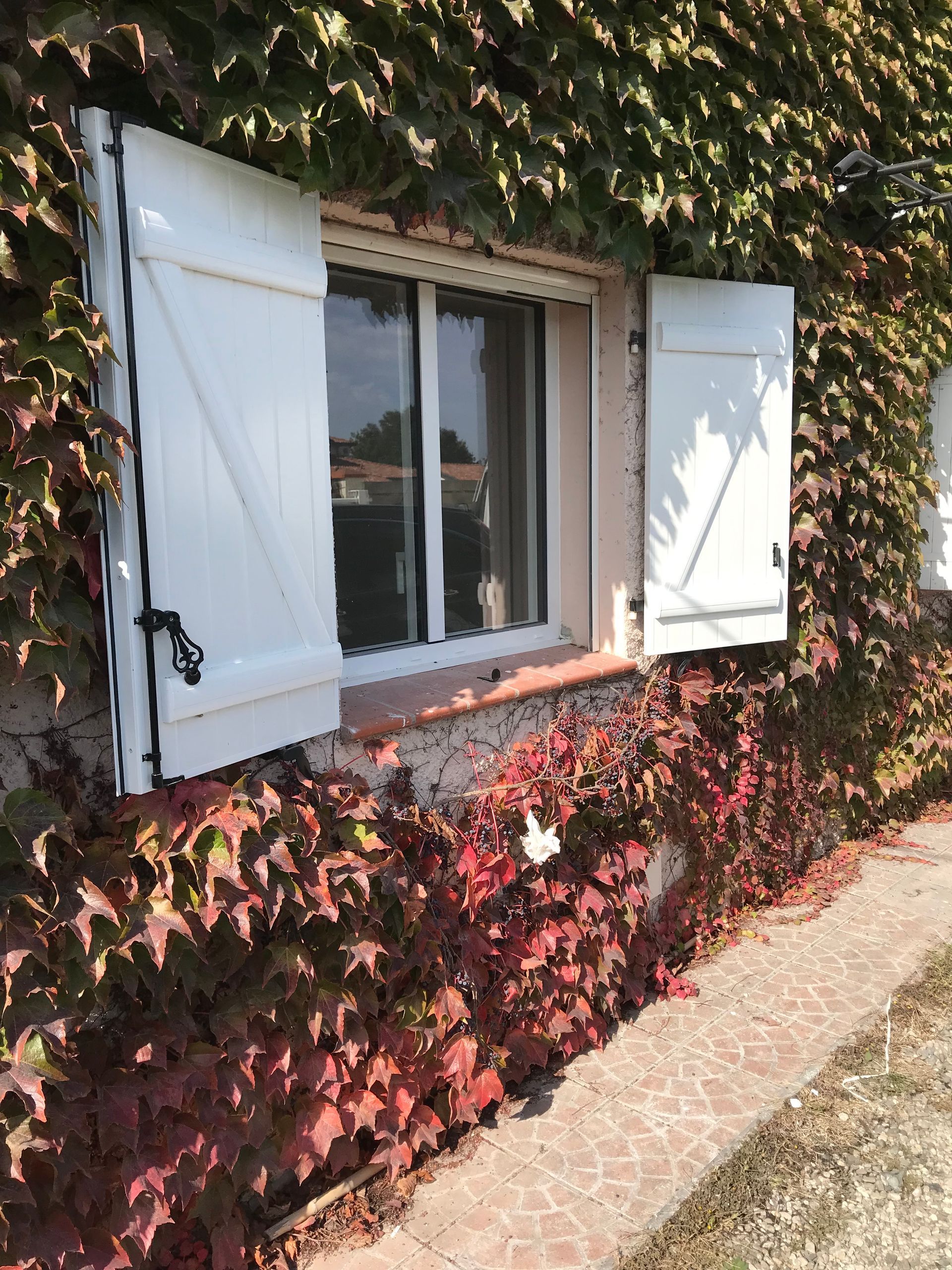 Fenêtre traditionnelle en PVC entourée de lierre