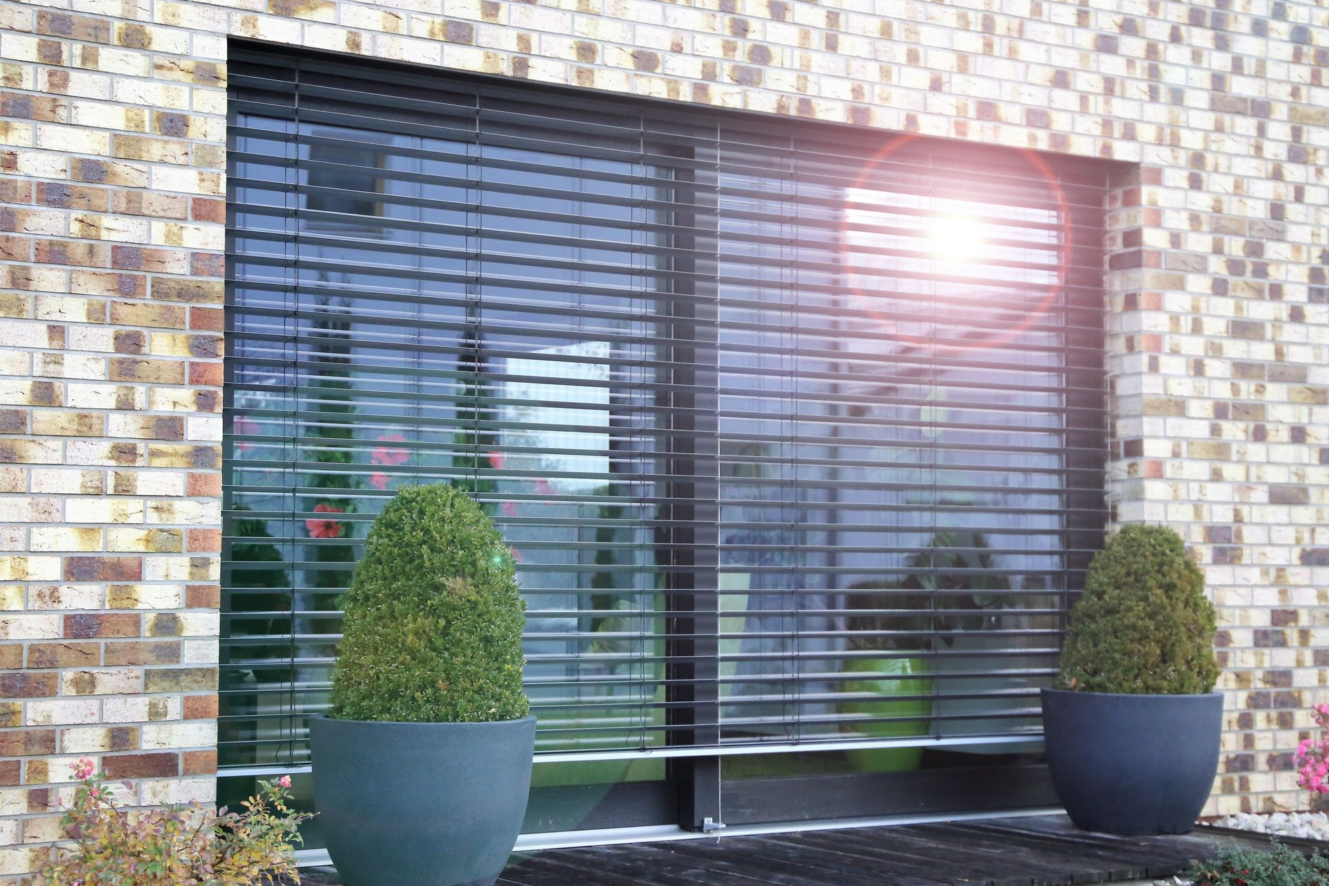 Fenêtre avec un brise-soleil et des arbustes devant