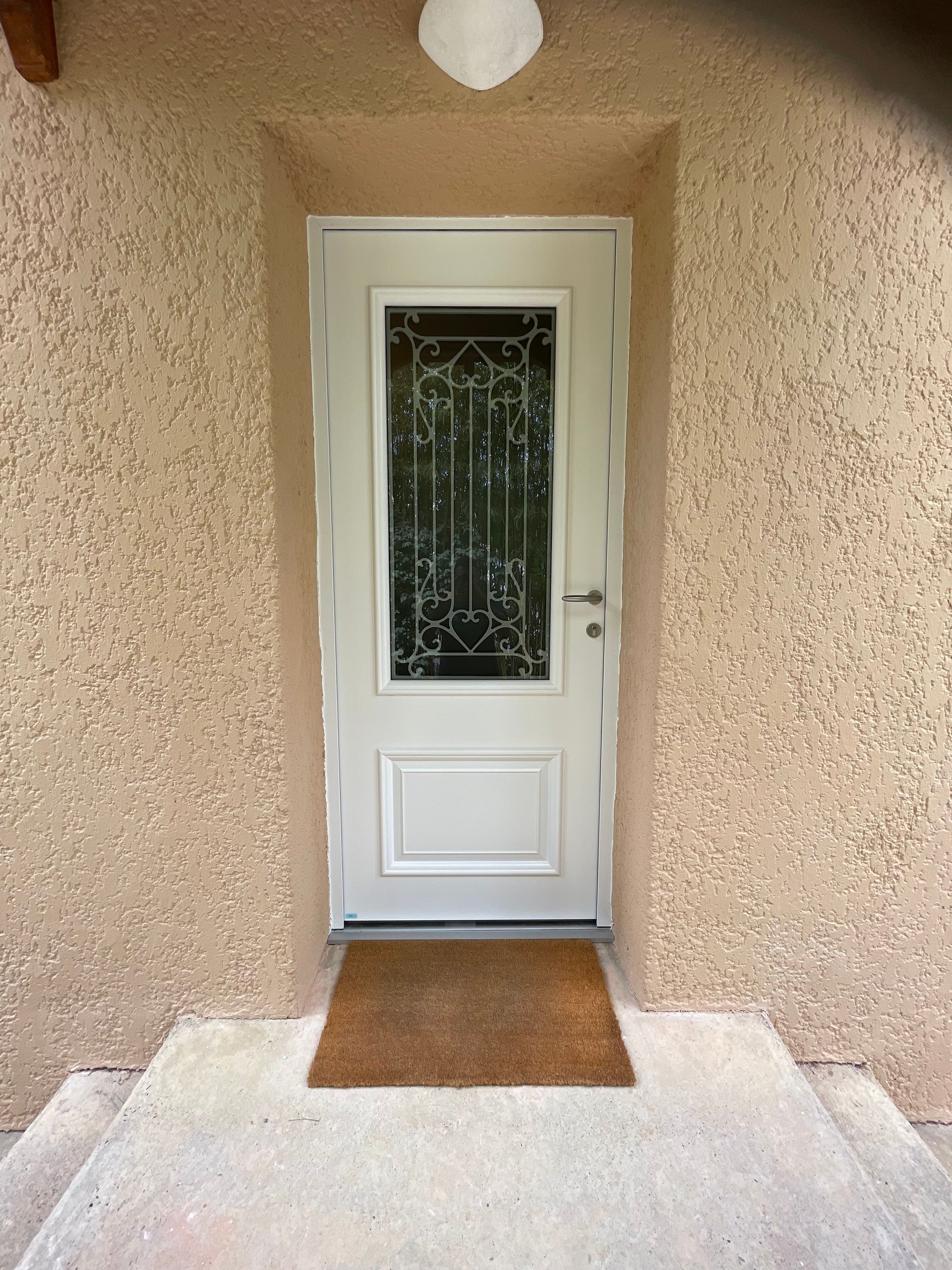 Porte d'entrée avec une vitre et une protection en métal stylisée