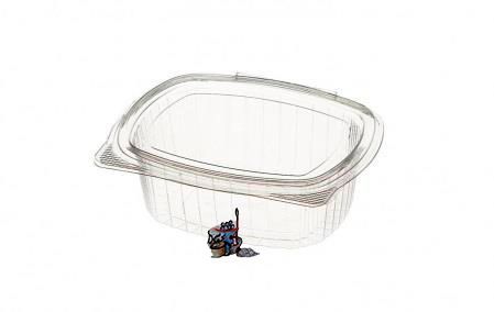 Recipiente para alimentos de plástico transparente con tapa sobre fondo blanco.
