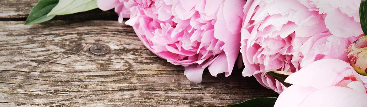 Fleuriste à Plozévet - Fleurs Le Hénaff - Bouquets de fleurs