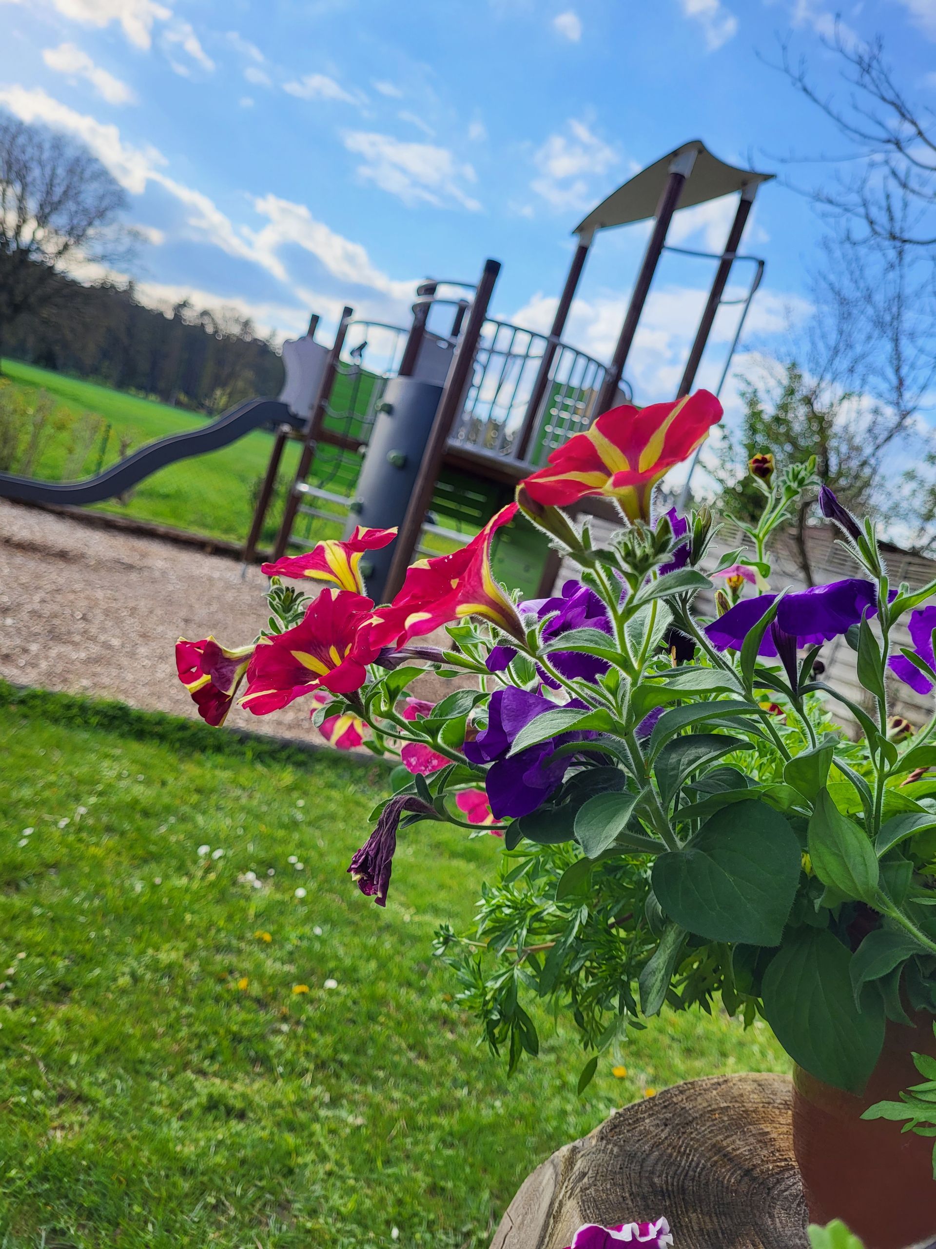 Ein Blick auf den Spielplatz beim Gasthaus zum grünen Tal