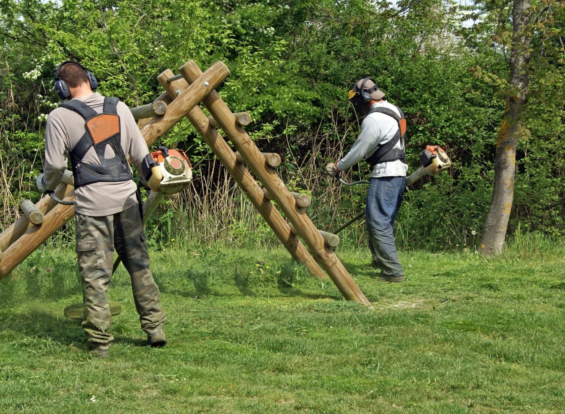 Élagage et abattage d'arbres