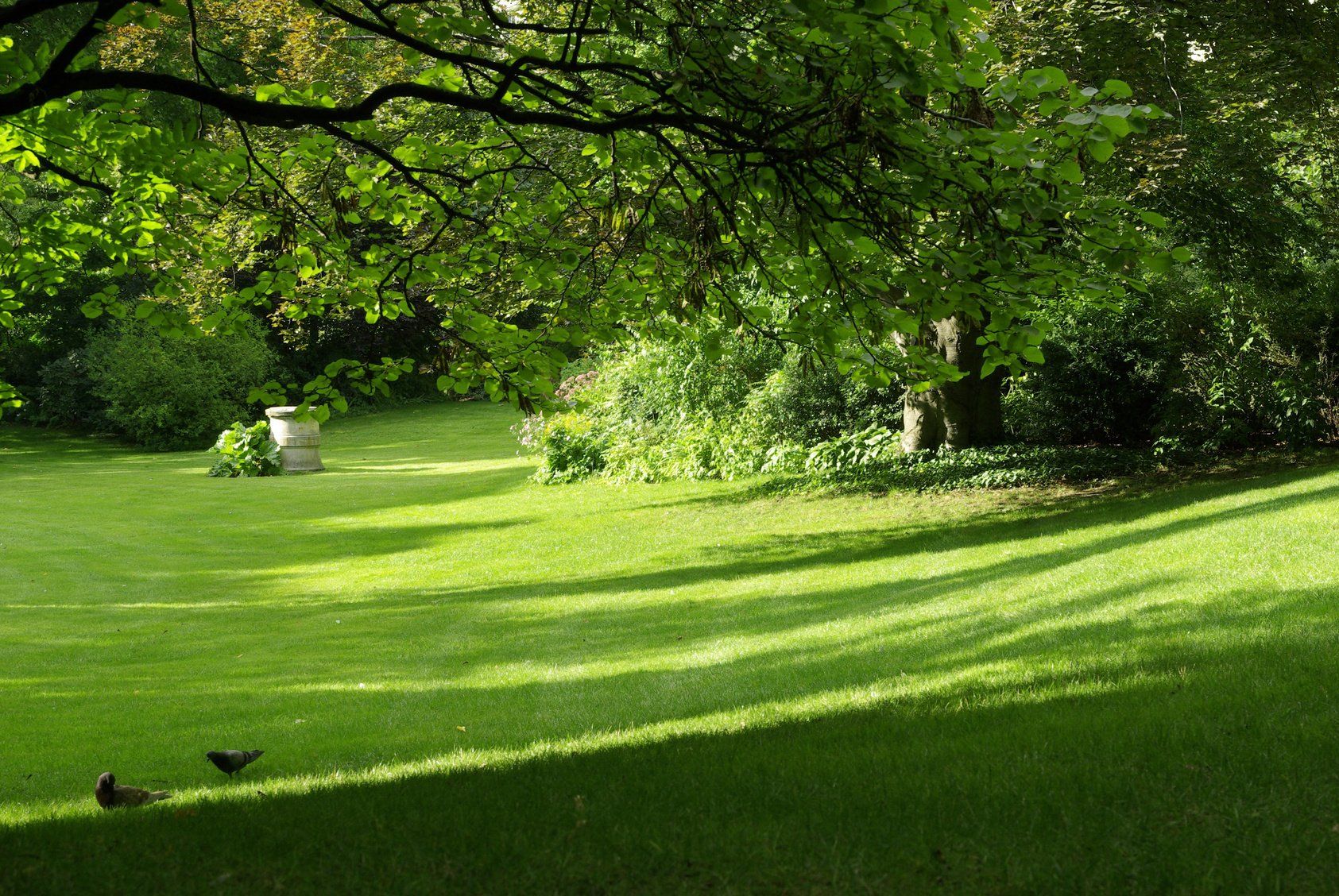 Entretien de votre jardin