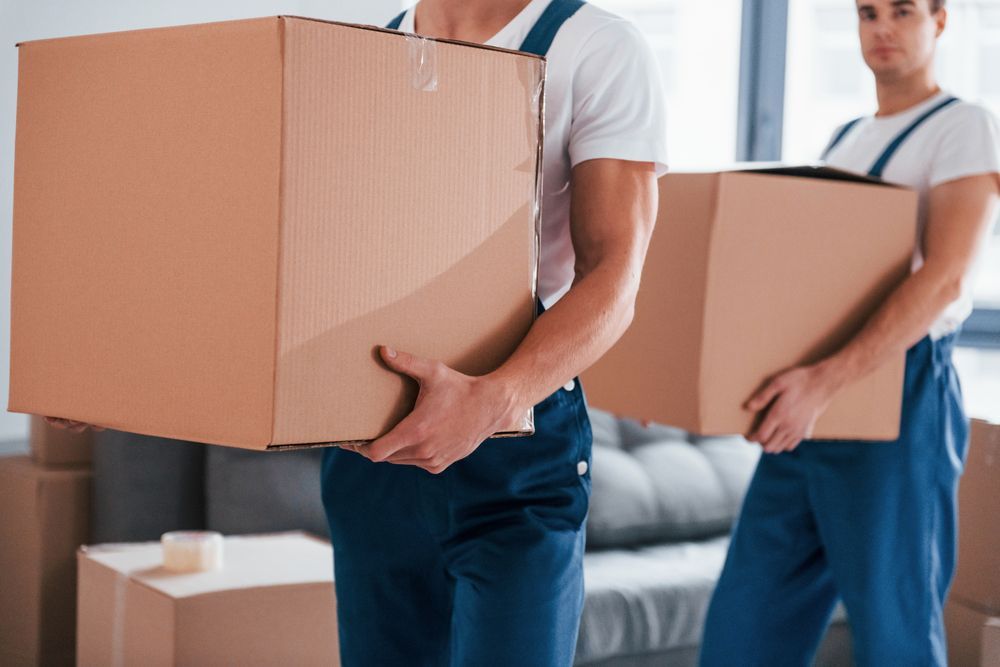 Dos hombres llevan cajas de cartón en una sala de estar.