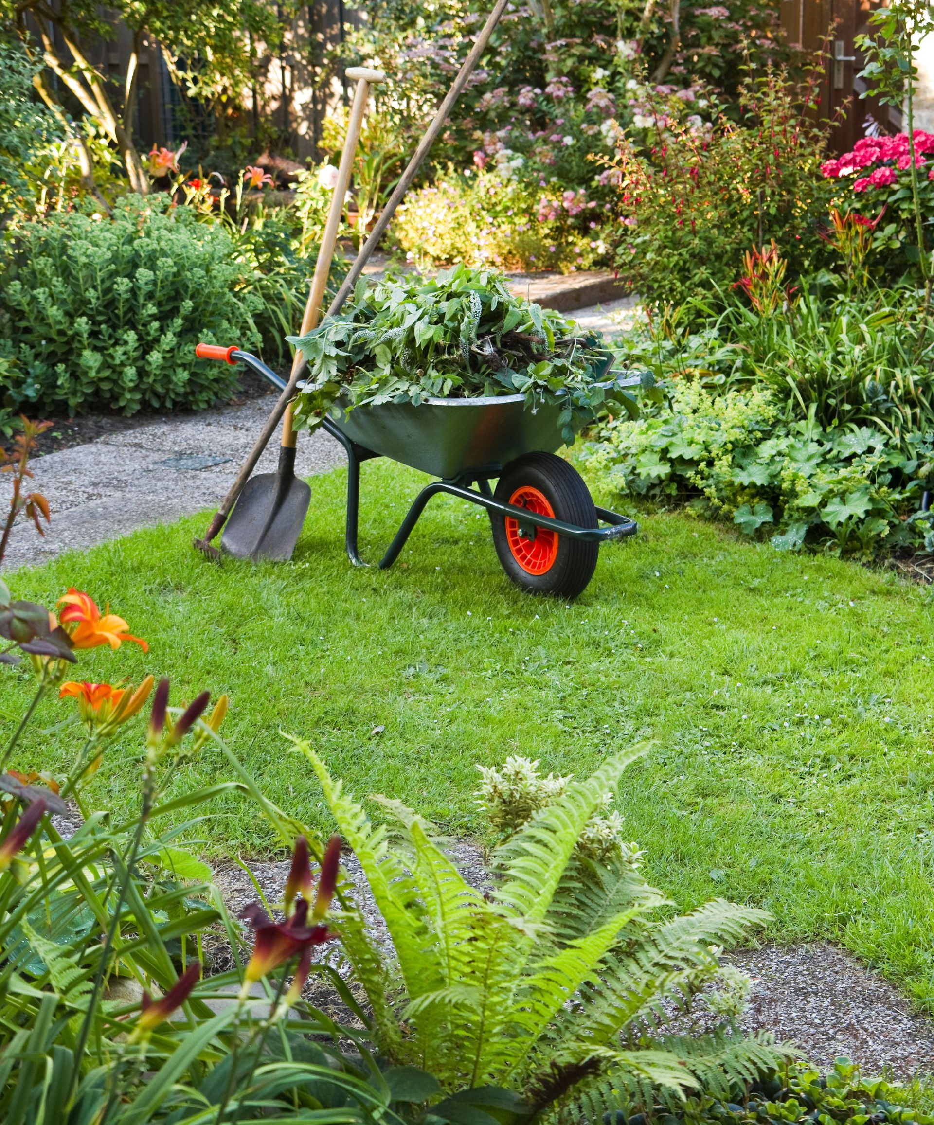 Ramassage, dans une brouette, des déchets organiques du jardin.