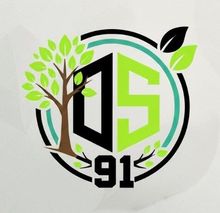 Logo de l'entreprise DS Élagage & Paysagiste