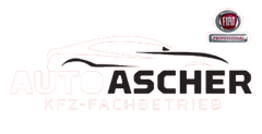 Auto Ascher GmbH & Co. KG
