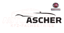 Auto Ascher GmbH & Co. KG