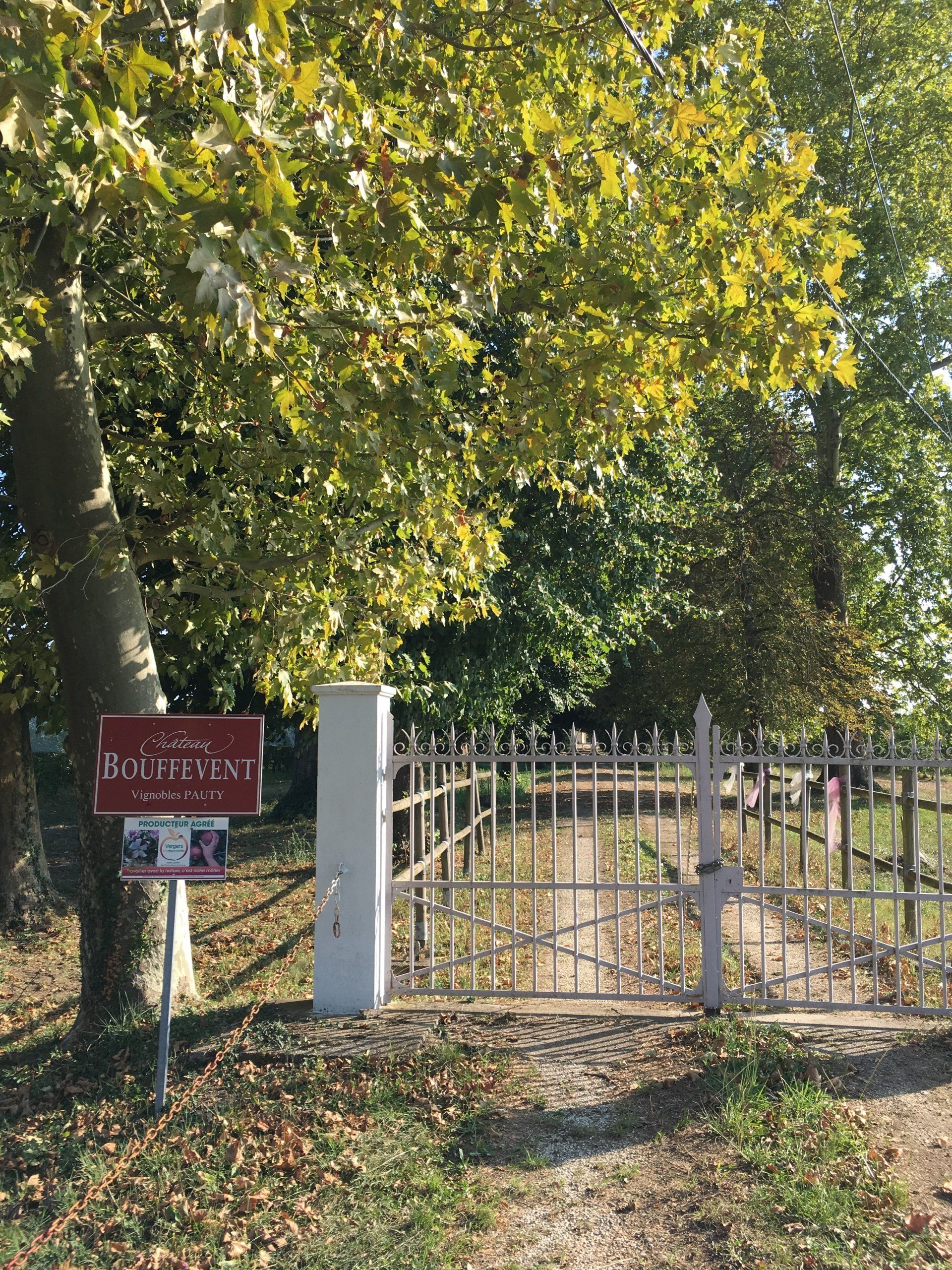 Vignes près de Bergerac