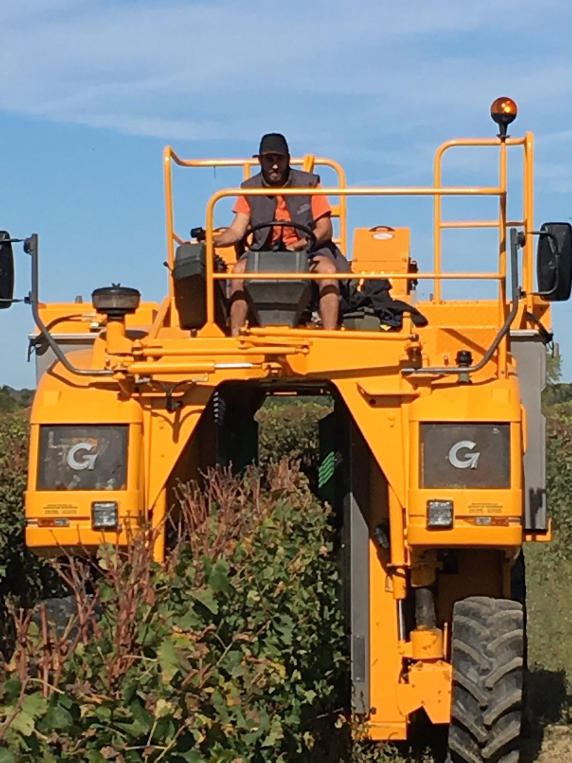 Machine à vandanger