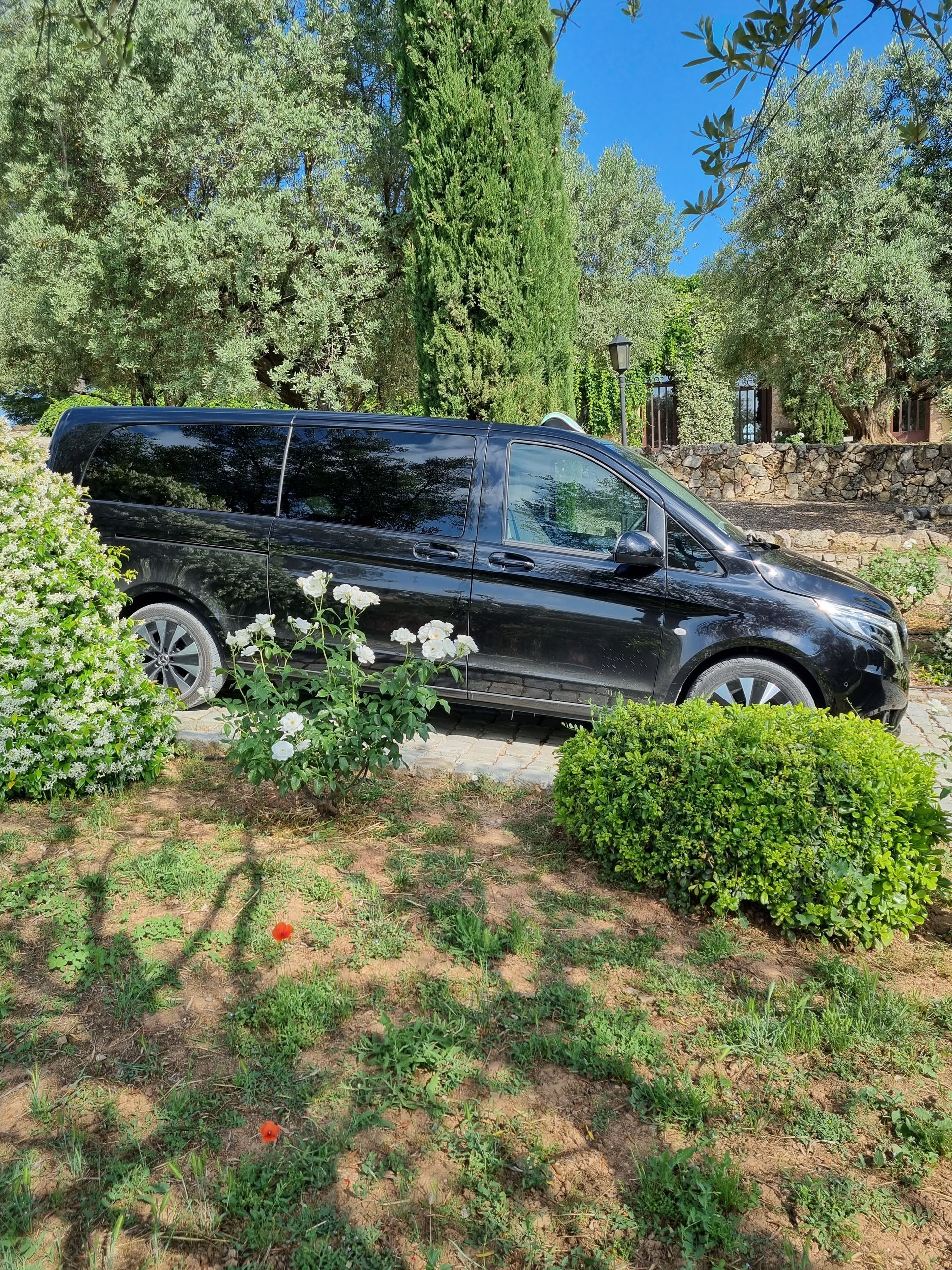 Van Mercedes noir garé sur un chemin entouré de végétation