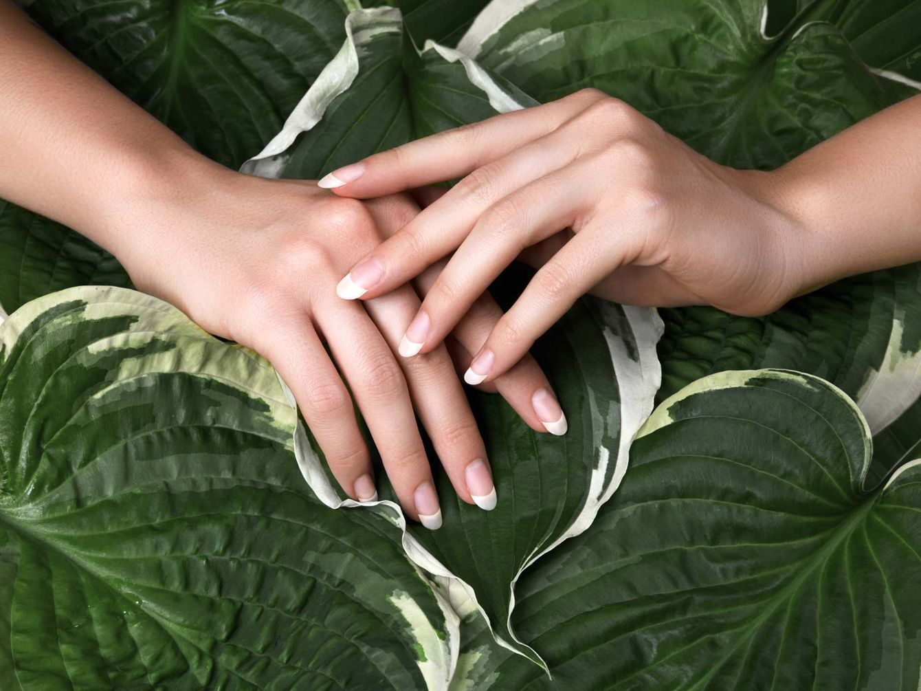 Manicure
