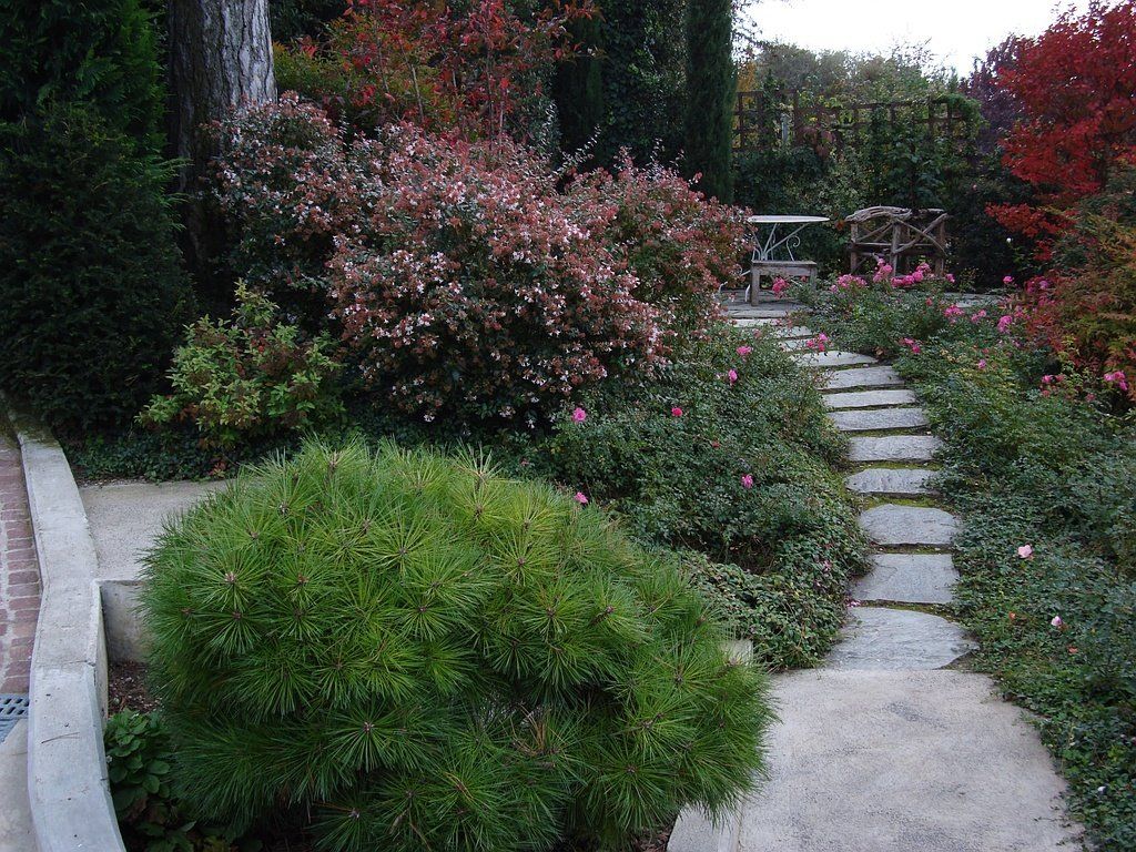 Paysagiste Jardinier Jovanovic-jardin