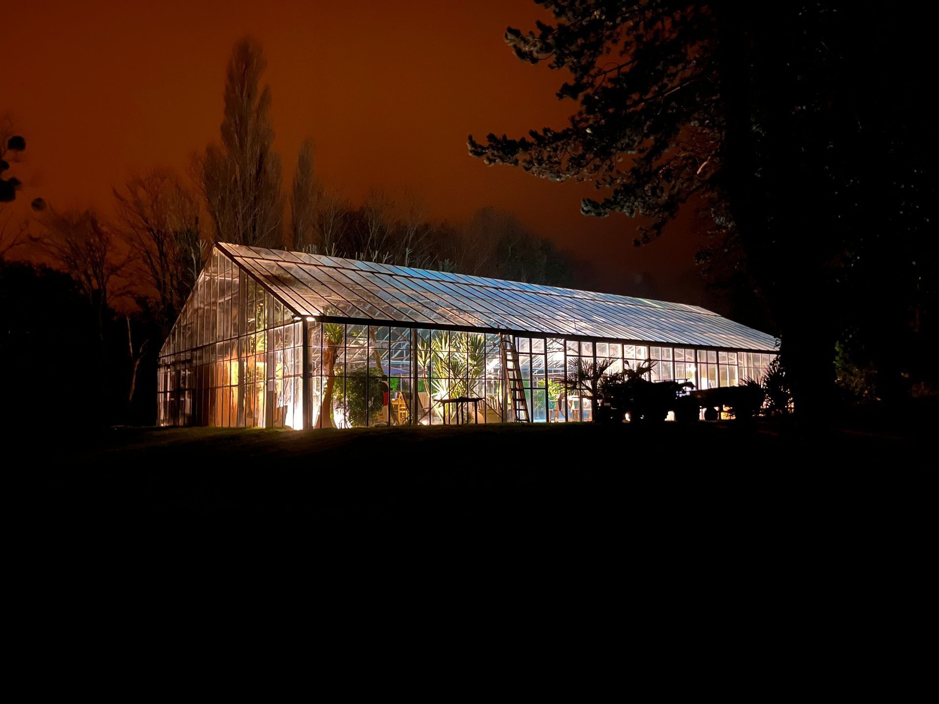 Serre illuminée la nuit, avec des lumières chaudes qui contrastent avec un ciel orange foncé.