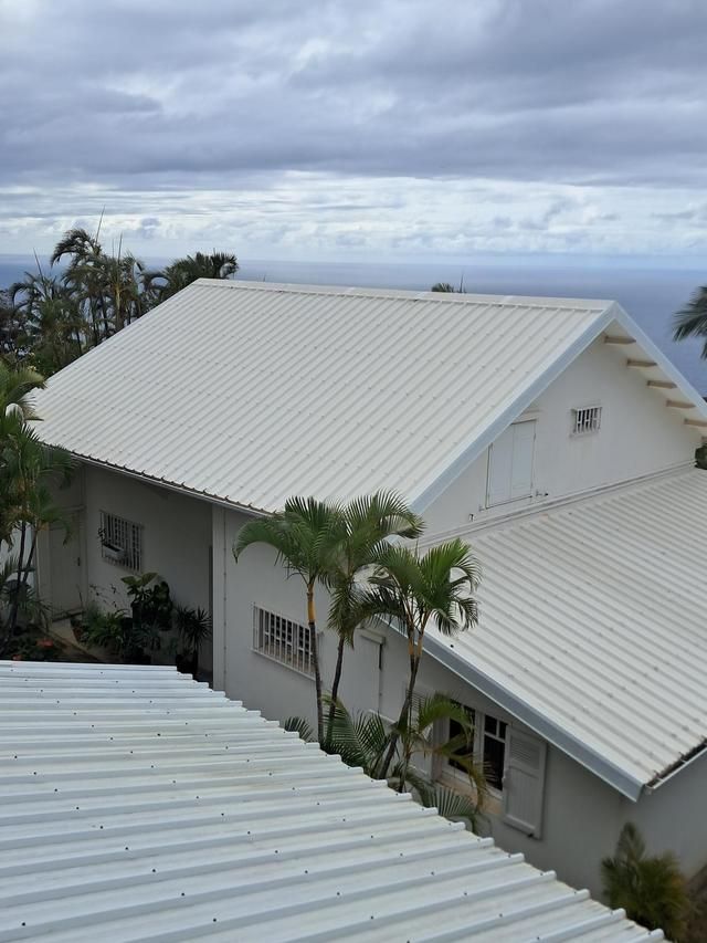 Bâtiment blanc avec un toit en métal, des palmiers et une vue sur l'océan.