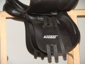 118 Eurohunter Accent